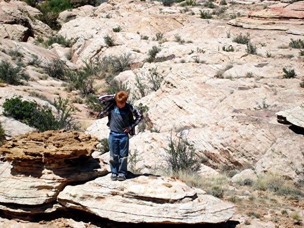 Hiking Behind McHood Park