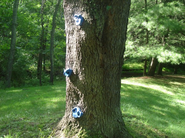 Tree Climbing Footholds