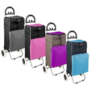 Deluxe Folding Covered Cart