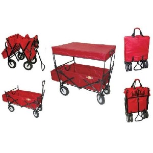 Folding Wagon with Canopy