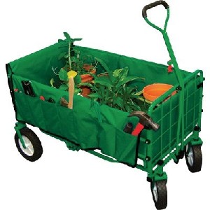 Green Folding Wagon