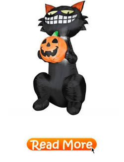 Grinning Black Cat Holding Jack O Lantern