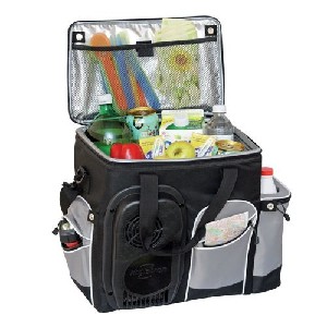 Koolatron 12V Travel Cooler